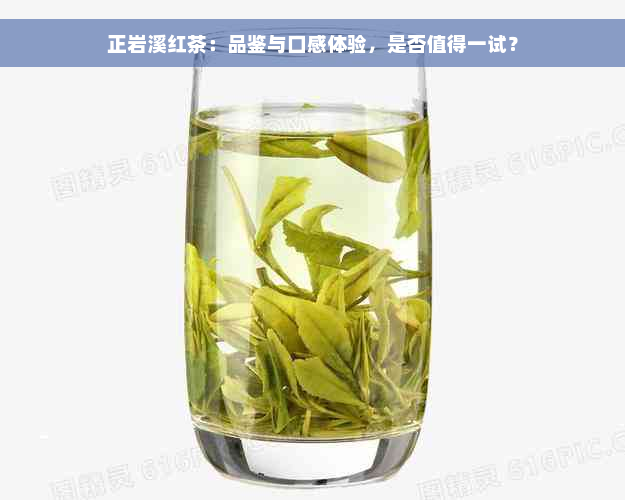 正岩溪红茶：品鉴与口感体验，是否值得一试？