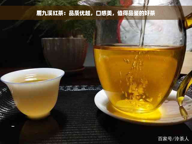 鹿九溪红茶：品质优越，口感美，值得品鉴的好茶