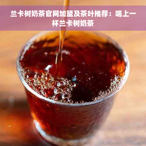 兰卡树奶茶官网加盟及茶叶推荐：喝上一杯兰卡树奶茶