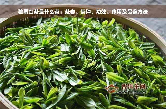 骏眉红茶是什么茶：茶类、茶种、功效、作用及品鉴方法