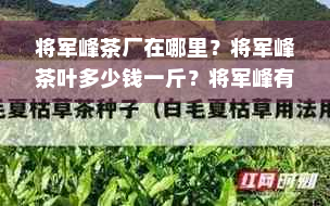 将军峰茶厂在哪里？将军峰茶叶多少钱一斤？将军峰有机茶品质如何？