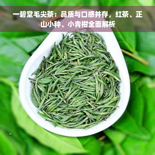 一碧堂毛尖茶：品质与口感并存，红茶、正山小种、小青柑全面解析