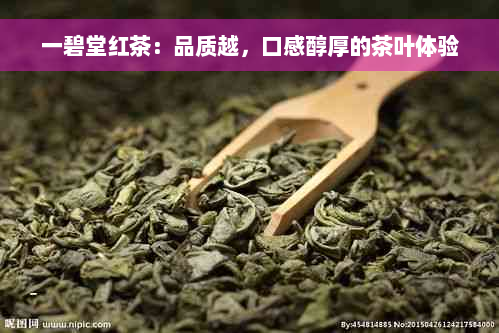 一碧堂红茶：品质越，口感醇厚的茶叶体验