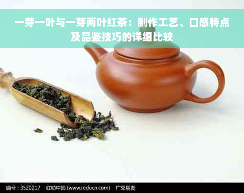 一芽一叶与一芽两叶红茶：制作工艺、口感特点及品鉴技巧的详细比较