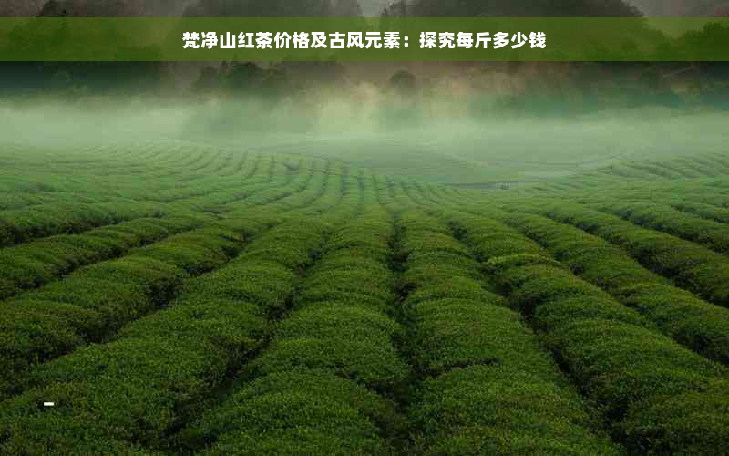 梵净山红茶价格及古风元素：探究每斤多少钱