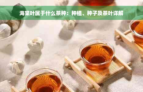 海棠叶属于什么茶种：种植、种子及茶叶详解