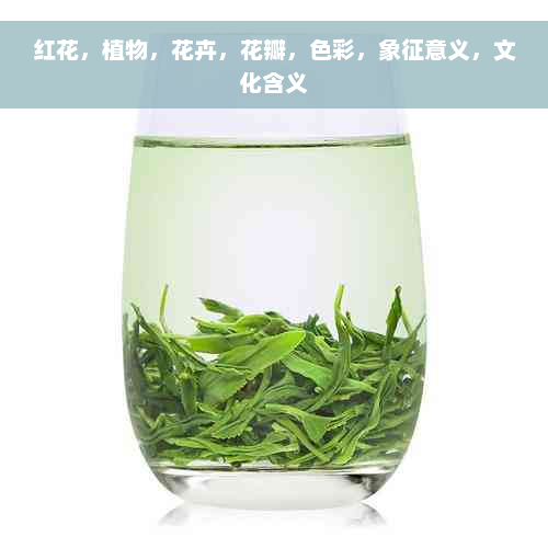 红花，植物，花卉，花瓣，色彩，象征意义，文化含义