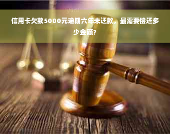 信用卡欠款5000元逾期六年未还款，最需要偿还多少金额？