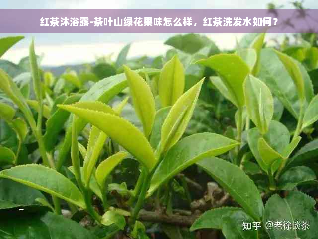 红茶沐浴露-茶叶山绿花果味怎么样，红茶洗发水如何？