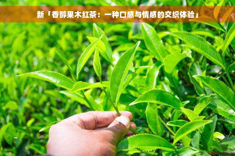 新「香醇果木红茶：一种口感与情感的交织体验」