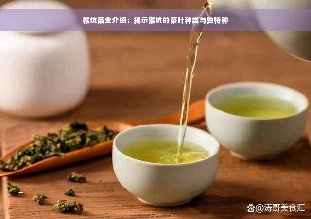 猴坑茶业介绍：揭示猴坑的茶叶种类与独特种