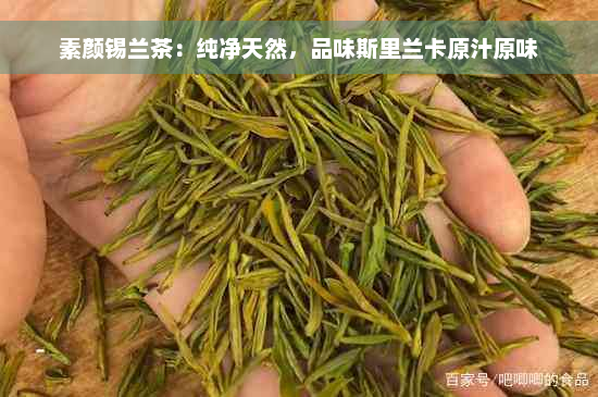 素颜锡兰茶：纯净天然，品味斯里兰卡原汁原味