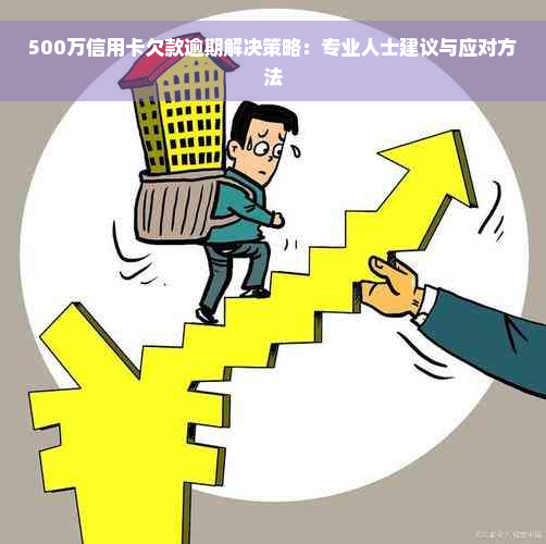 500万信用卡欠款逾期解决策略：专业人士建议与应对方法