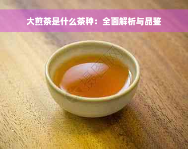 大煎茶是什么茶种：全面解析与品鉴