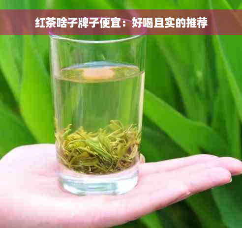 红茶啥子牌子便宜：好喝且实的推荐