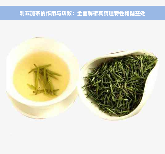 刺五加茶的作用与功效：全面解析其药理特性和健益处