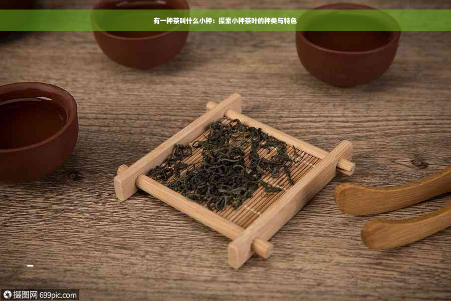 有一种茶叫什么小种：探索小种茶叶的种类与特色