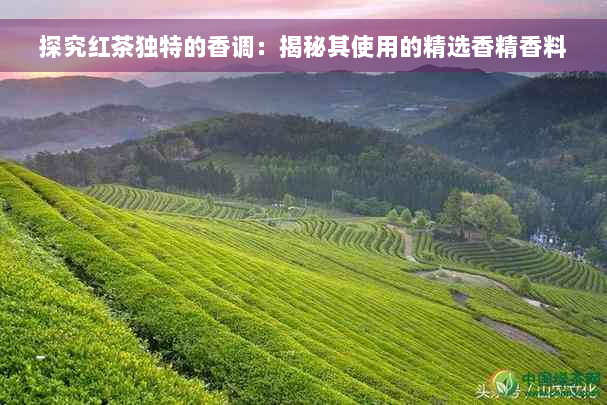 探究红茶独特的香调：揭秘其使用的精选香精香料