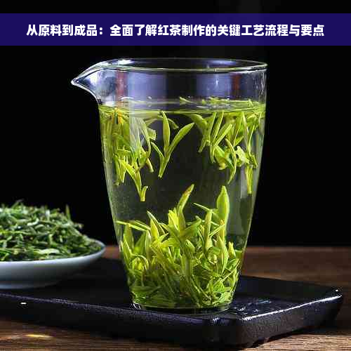 从原料到成品：全面了解红茶制作的关键工艺流程与要点