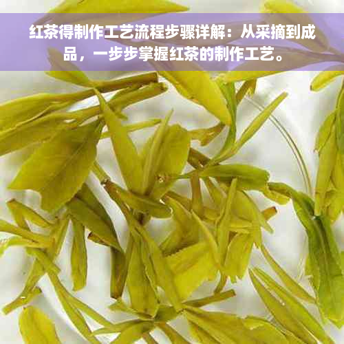 红茶得制作工艺流程步骤详解：从采摘到成品，一步步掌握红茶的制作工艺。