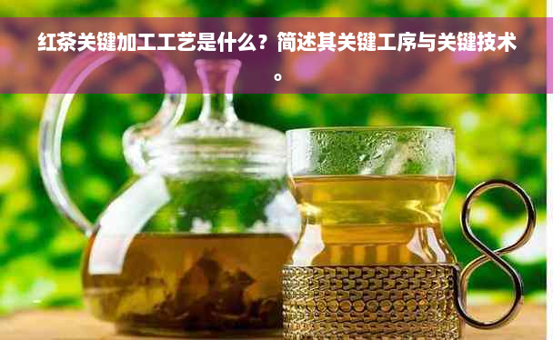 红茶关键加工工艺是什么？简述其关键工序与关键技术。