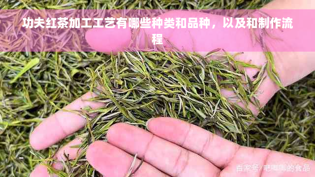 功夫红茶加工工艺有哪些种类和品种，以及和制作流程