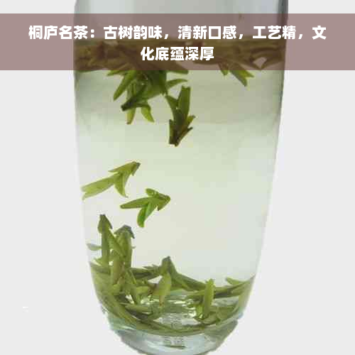 桐庐名茶：古树韵味，清新口感，工艺精，文化底蕴深厚