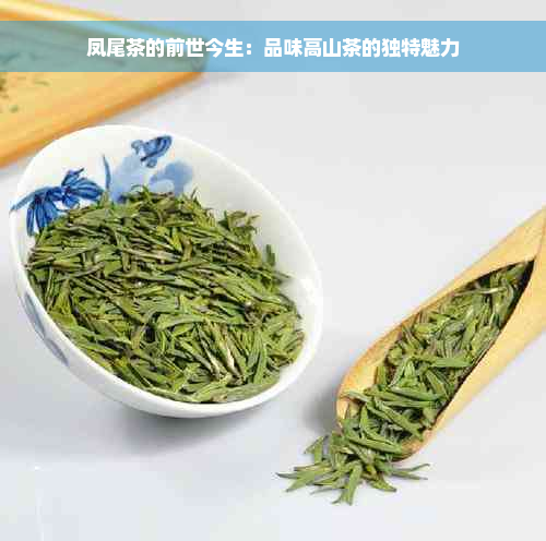 凤尾茶的前世今生：品味高山茶的独特魅力