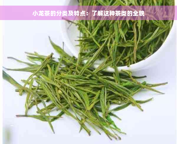 小龙茶的分类及特点：了解这种茶类的全貌