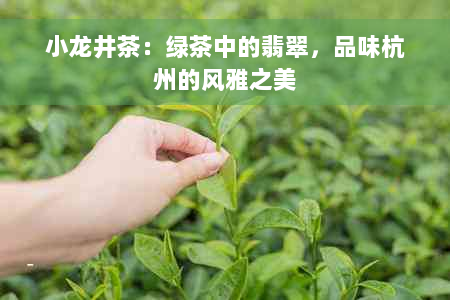 小龙井茶：绿茶中的翡翠，品味杭州的风雅之美