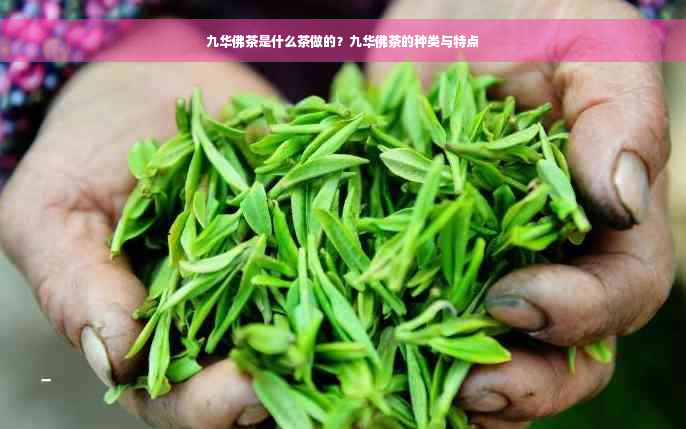 九华佛茶是什么茶做的？九华佛茶的种类与特点