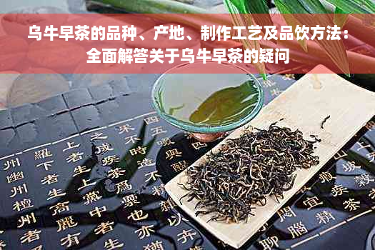 乌牛早茶的品种、产地、制作工艺及品饮方法：全面解答关于乌牛早茶的疑问