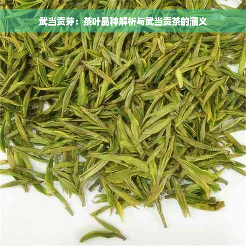 武当贡芽：茶叶品种解析与武当贡茶的涵义