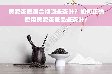 黄泥茶壶适合泡哪些茶叶？如何正确使用黄泥茶壶品鉴茶叶？