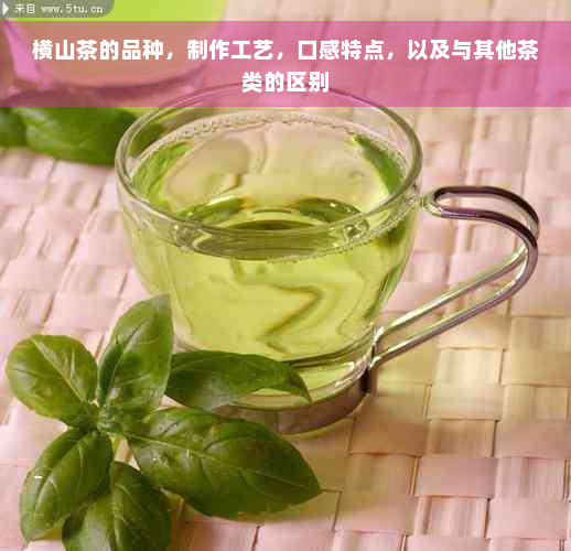 横山茶的品种，制作工艺，口感特点，以及与其他茶类的区别