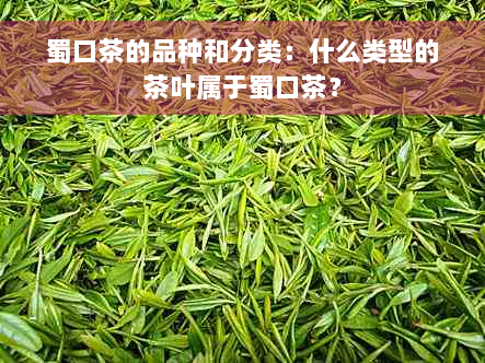 蜀口茶的品种和分类：什么类型的茶叶属于蜀口茶？