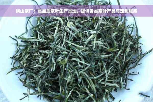 横山茶厂：高品质茶叶生产基地，提供各类茶叶产品与定制服务