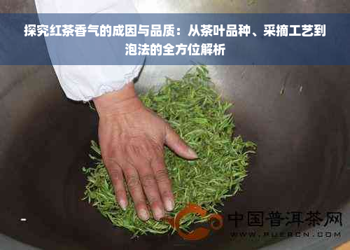 探究红茶香气的成因与品质：从茶叶品种、采摘工艺到泡法的全方位解析