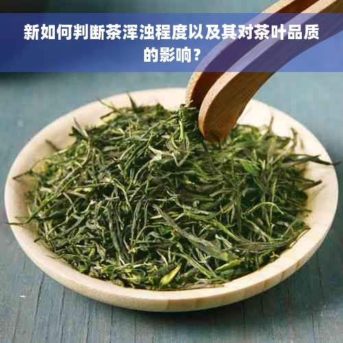 新如何判断茶浑浊程度以及其对茶叶品质的影响？