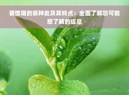 餐馆喝的茶种类及其特点：全面了解您可能想了解的信息