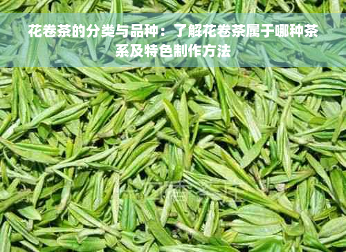 花卷茶的分类与品种：了解花卷茶属于哪种茶系及特色制作方法