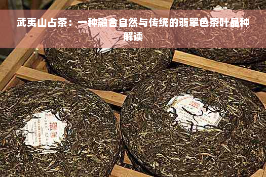 武夷山占茶：一种融合自然与传统的翡翠色茶叶品种解读