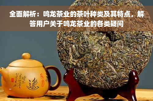 全面解析：鸣龙茶业的茶叶种类及其特点，解答用户关于鸣龙茶业的各类疑问