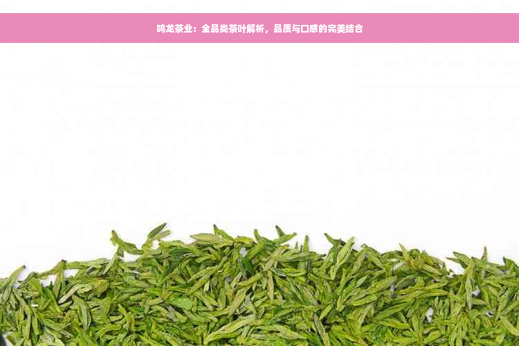 鸣龙茶业：全品类茶叶解析，品质与口感的完美结合