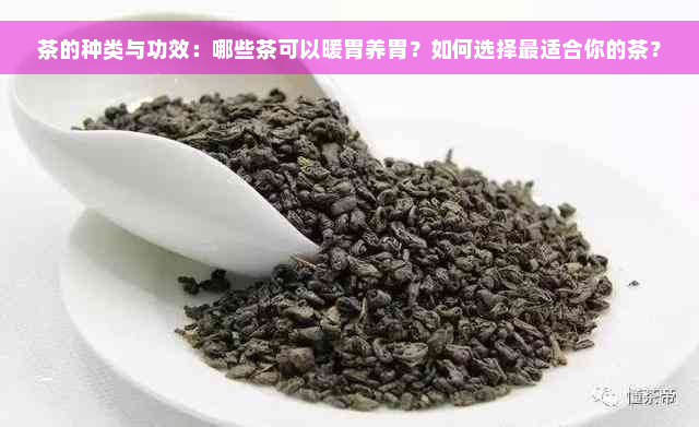 茶的种类与功效：哪些茶可以暖胃养胃？如何选择最适合你的茶？