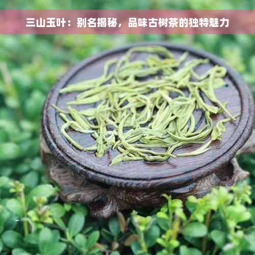 三山玉叶：别名揭秘，品味古树茶的独特魅力