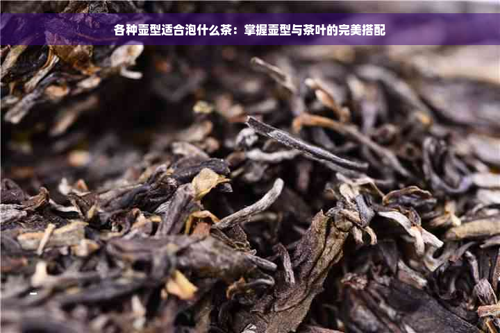 各种壶型适合泡什么茶：掌握壶型与茶叶的完美搭配