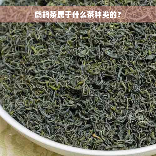 鹧鸪茶属于什么茶种类的？