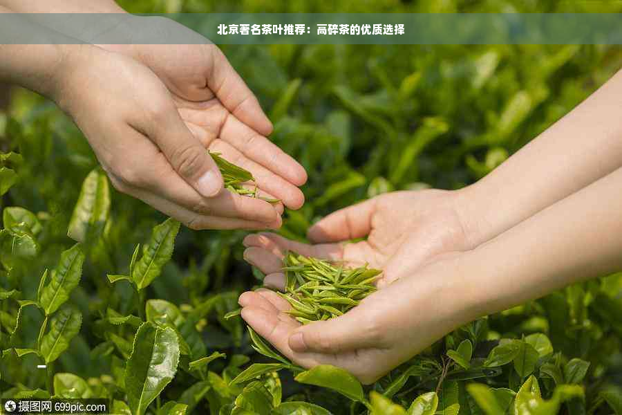 北京著名茶叶推荐：高碎茶的优质选择