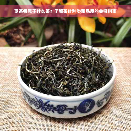 觅茶香属于什么茶？了解茶叶种类和品质的关键指南